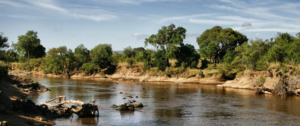 Hippo neighbours at Serian The Nest, Mara North Conservancy, Tanzania.