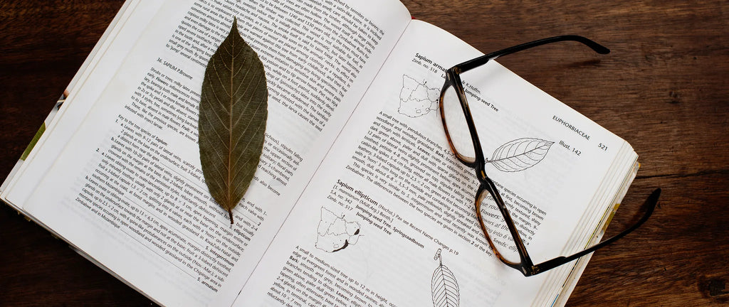 Researching flora at Serian The Original, Mara North Conservancy, Kenya.