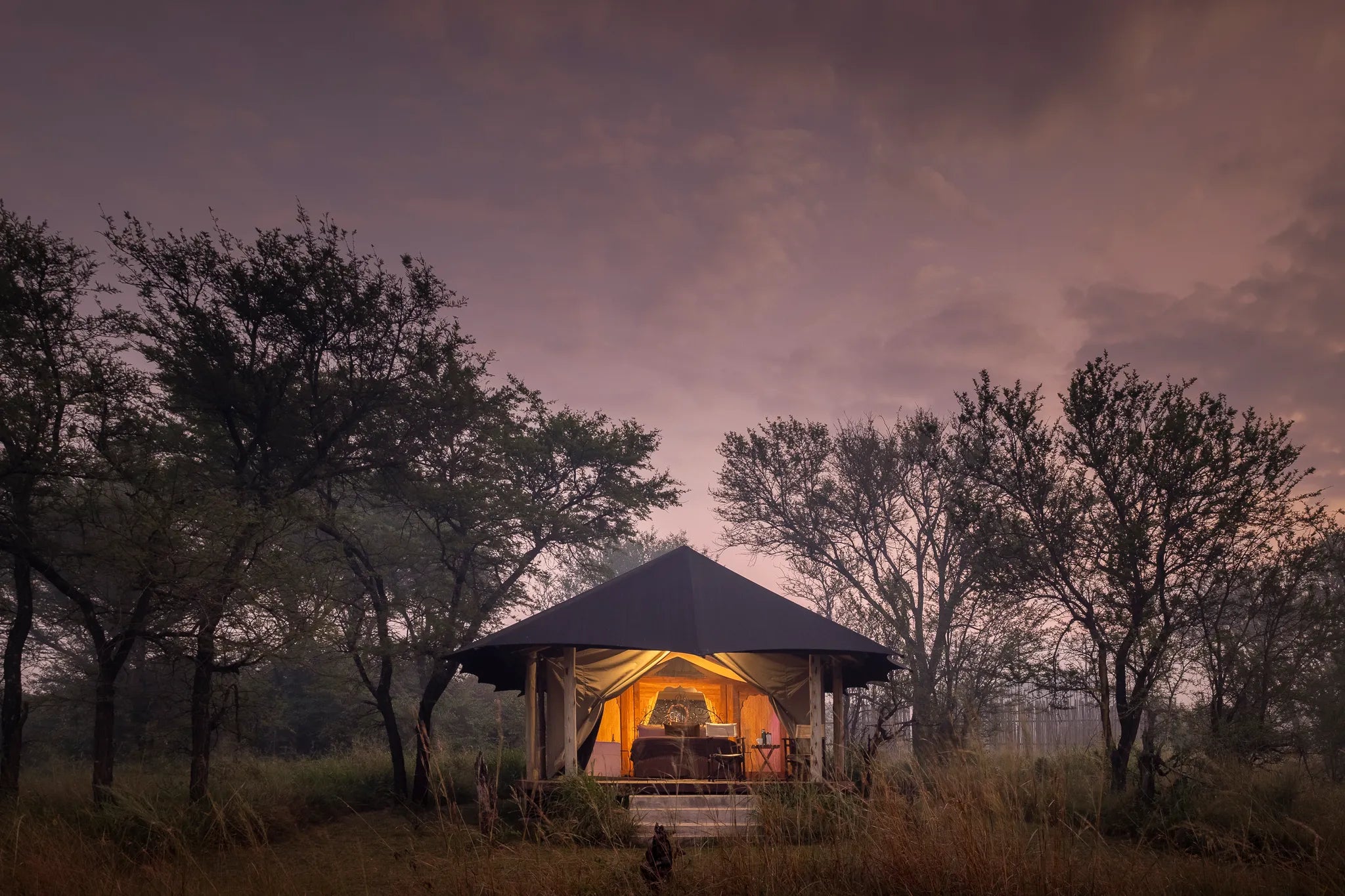 Lamai client tent - exterior at Serian's Serengeti Lamai, Northern Serengeti, Tanzania.