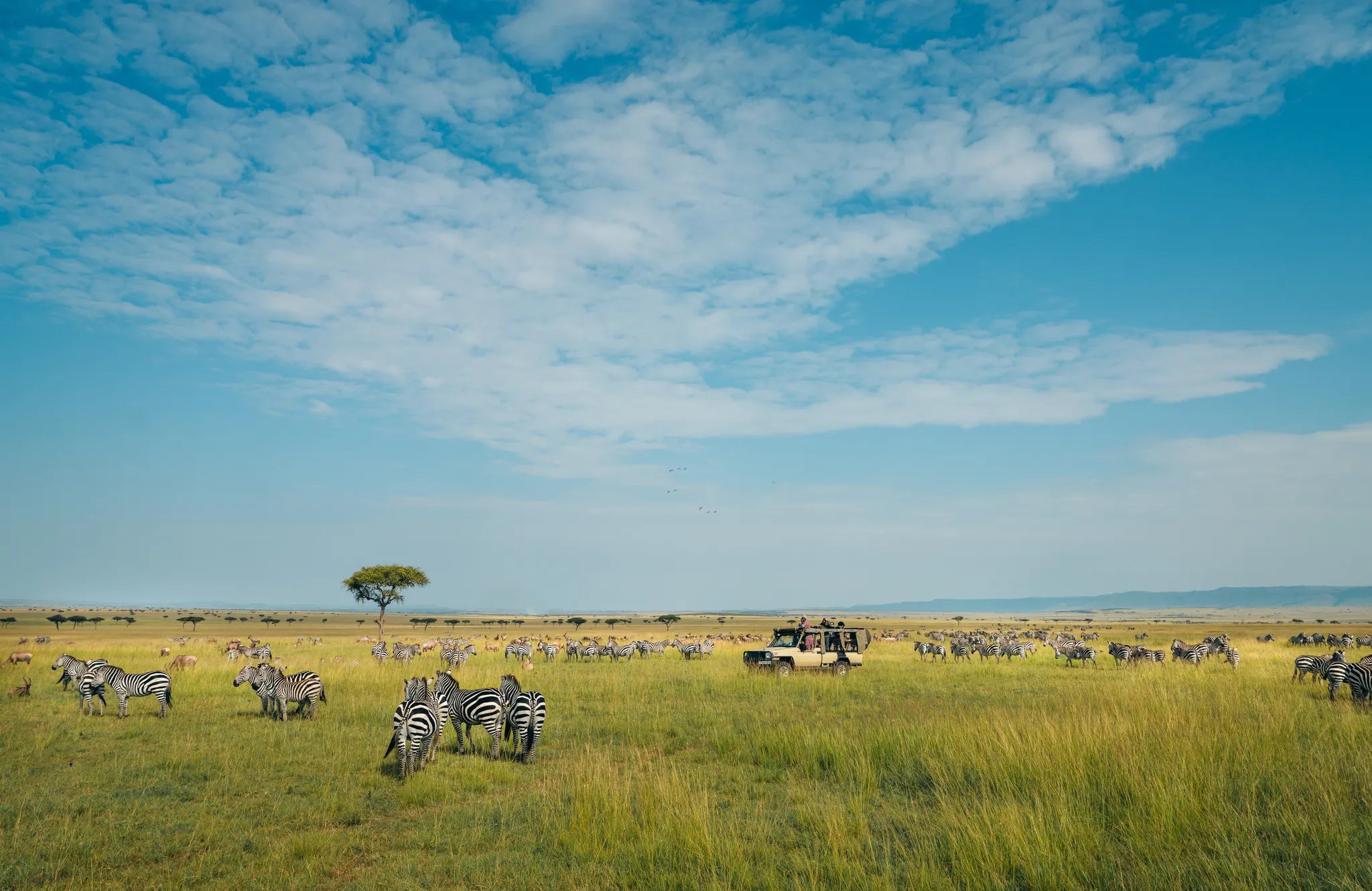 The Lamai Wedge Gamedrive at Serian's Serengeti Lamai, Northern Serengeti, Tanzania.