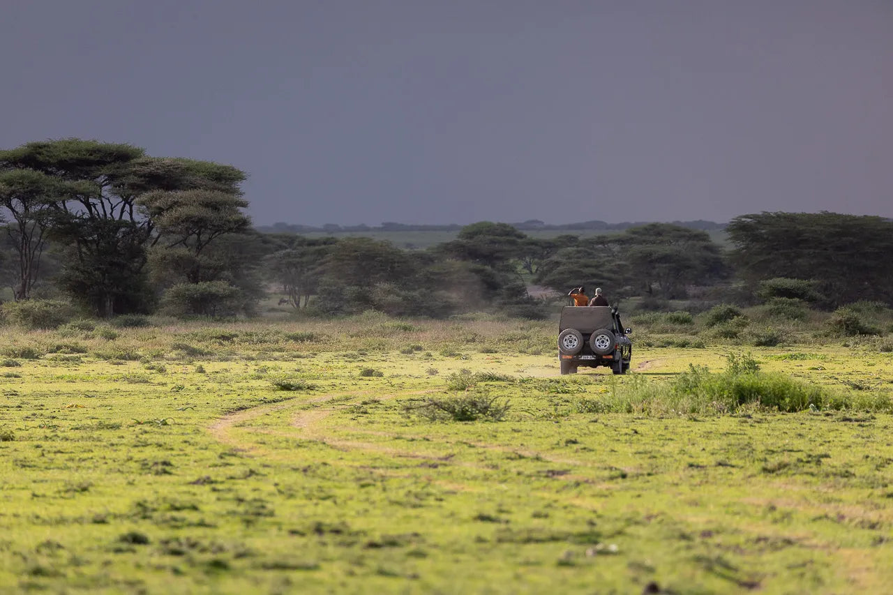 Little red riding hood at Serian's Serengeti Mobile Kusini, Southern Serengeti, Tanzania.