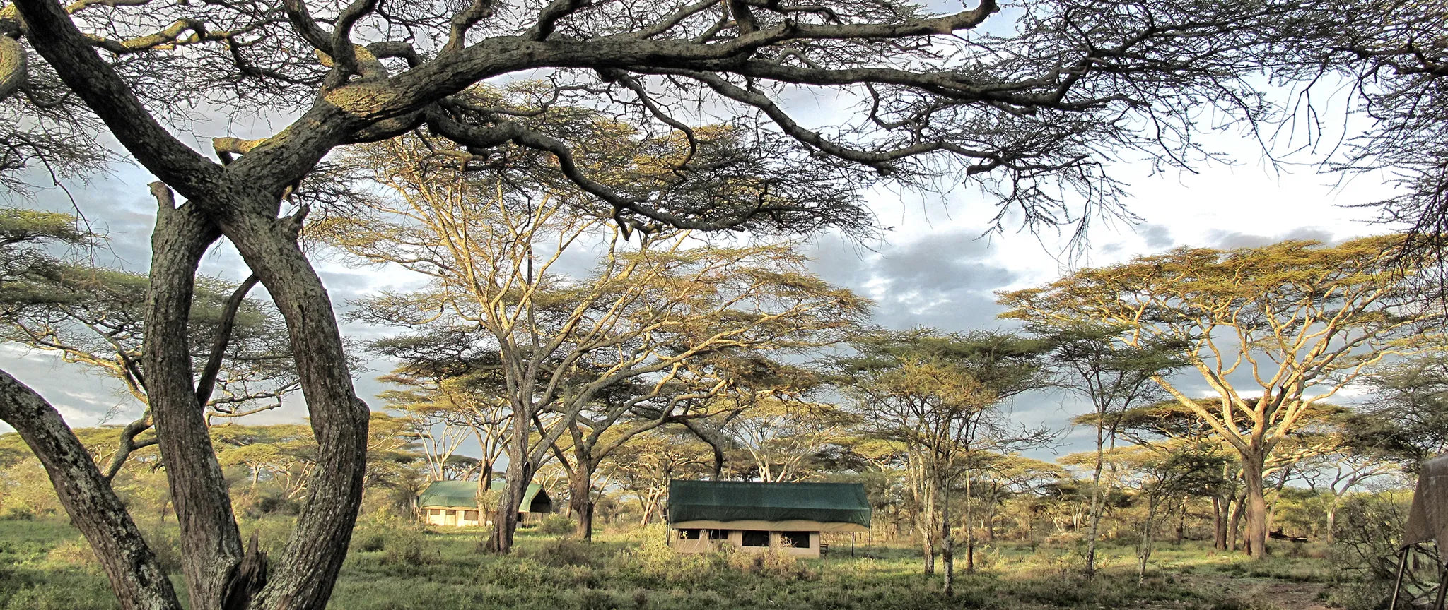 Tent through the trees at Serian's Serengeti Mobile Kusini, Southern Serengeti, Tanzania.