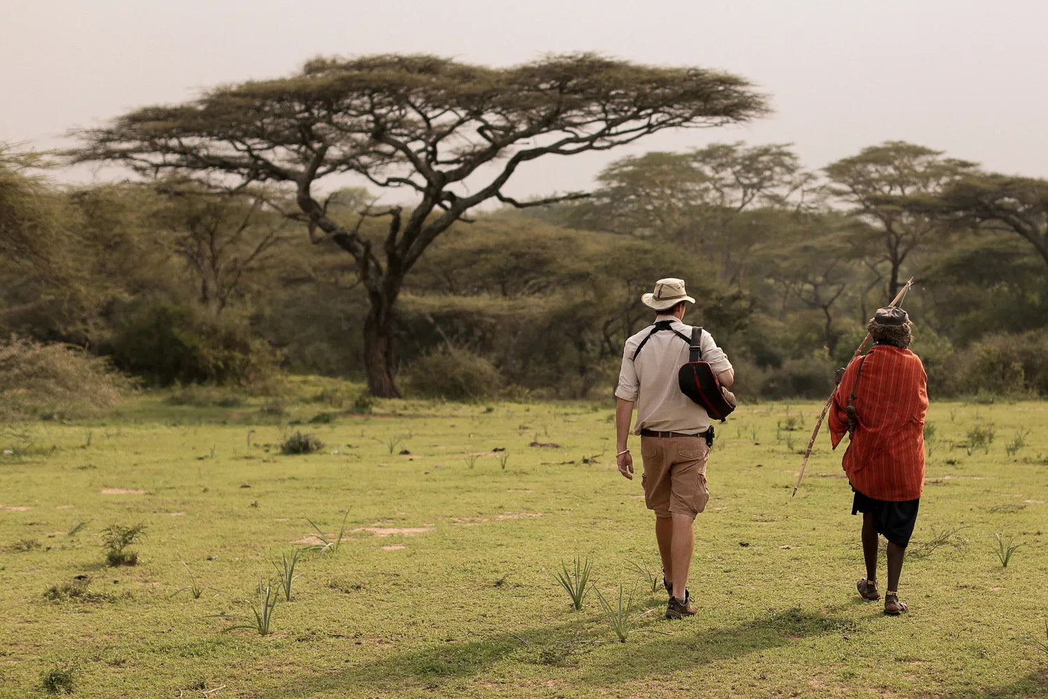 Activities - Walking at Serian's Serengeti South, Southern Serengeti, Tanzania.