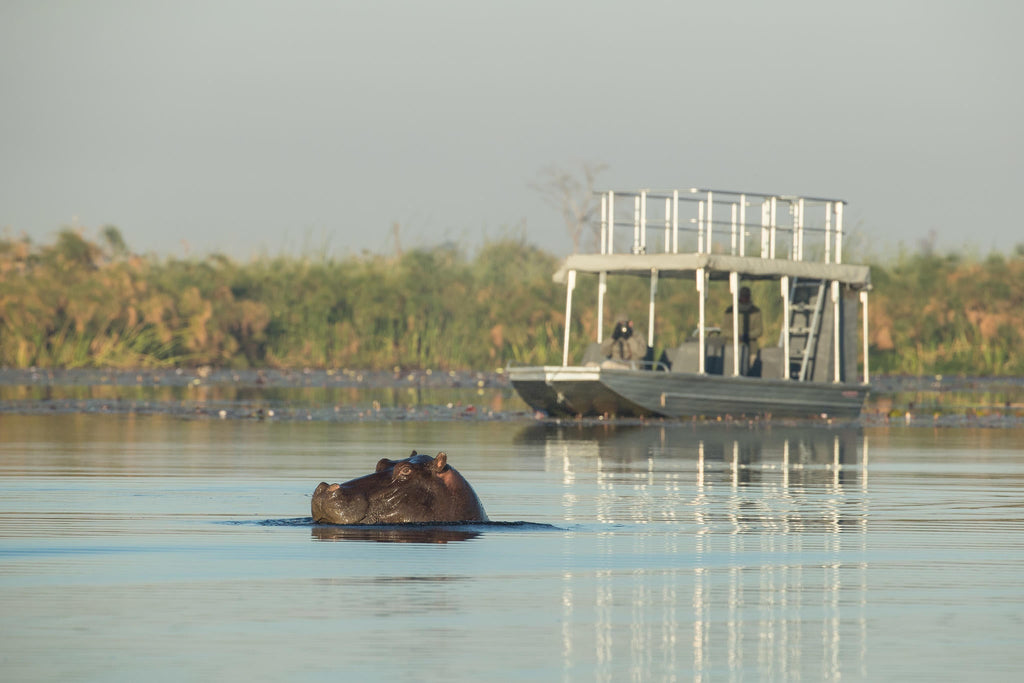 Boat safaris gallery image 2