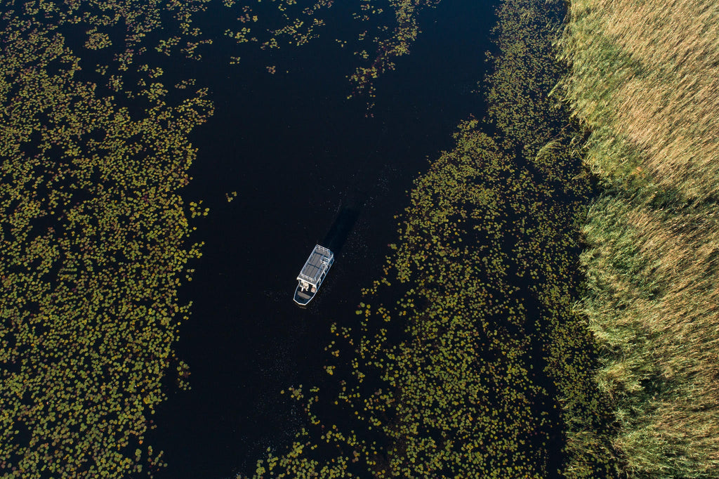Boat safaris gallery image 10