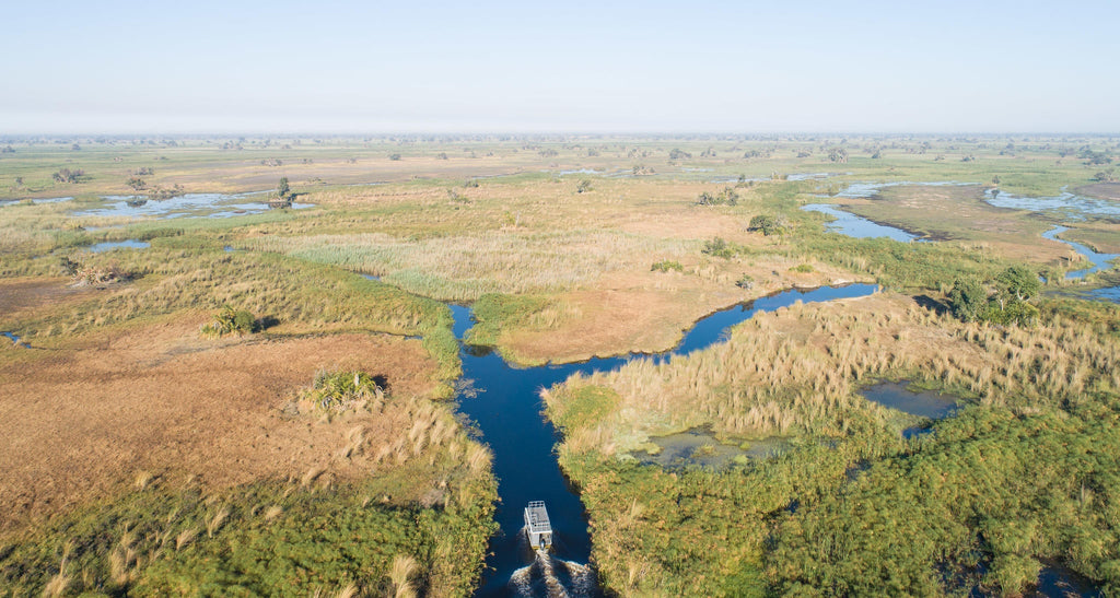 Boat safaris gallery image 11