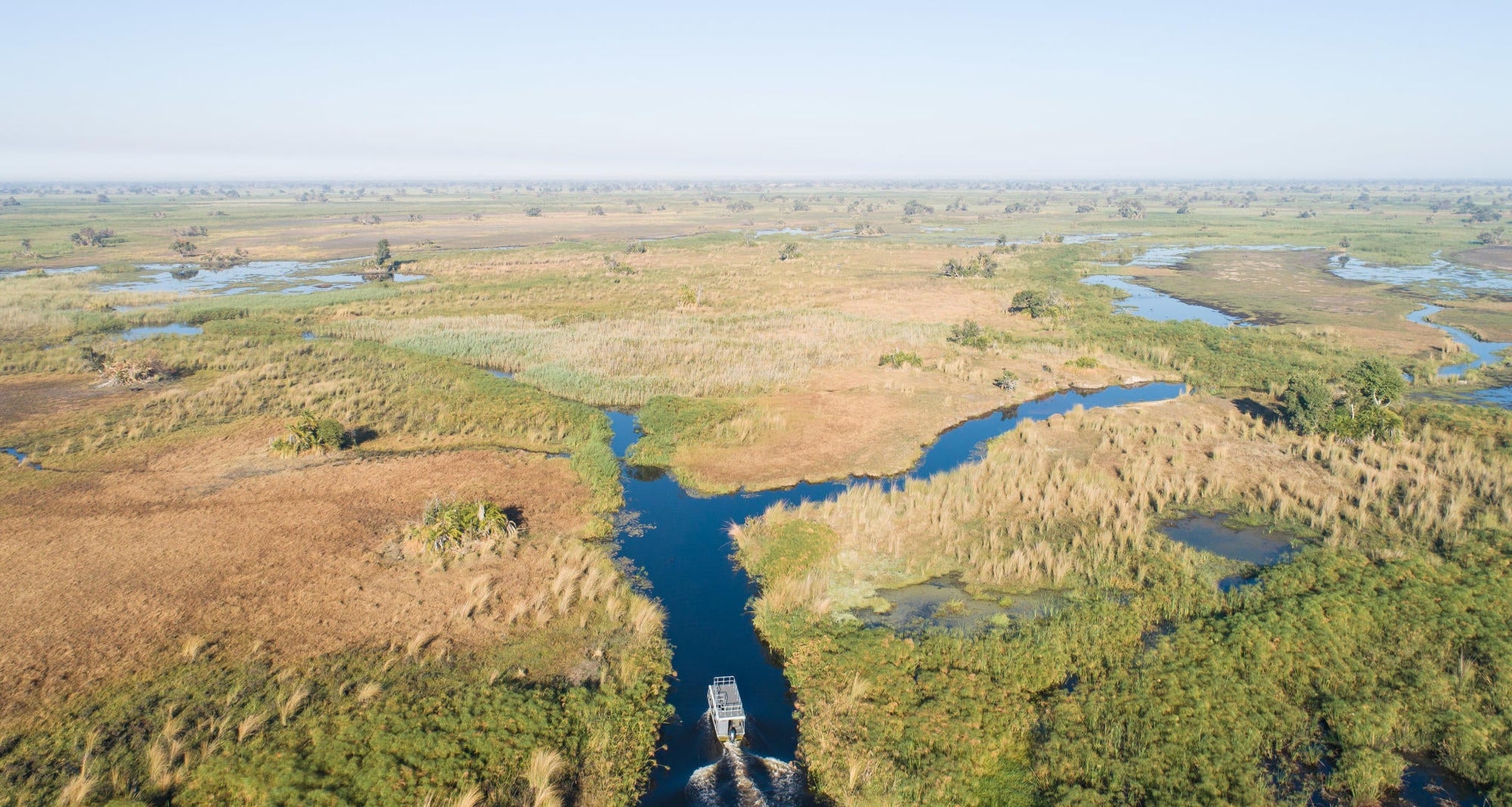 Boat safaris gallery image 11