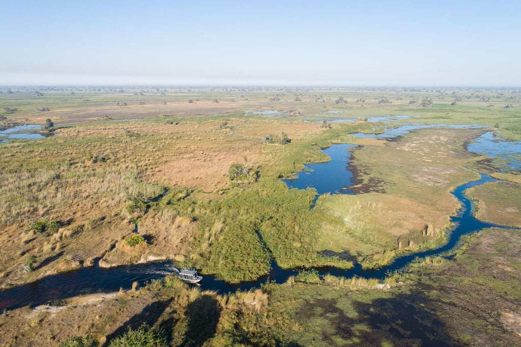 Boat safaris gallery image 7