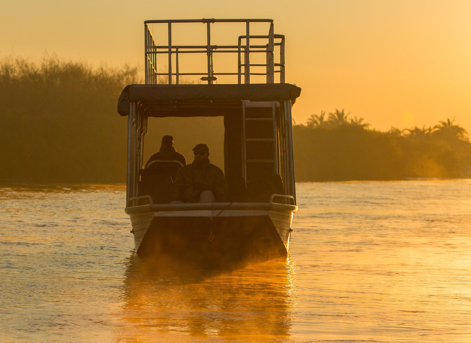 Boat safaris