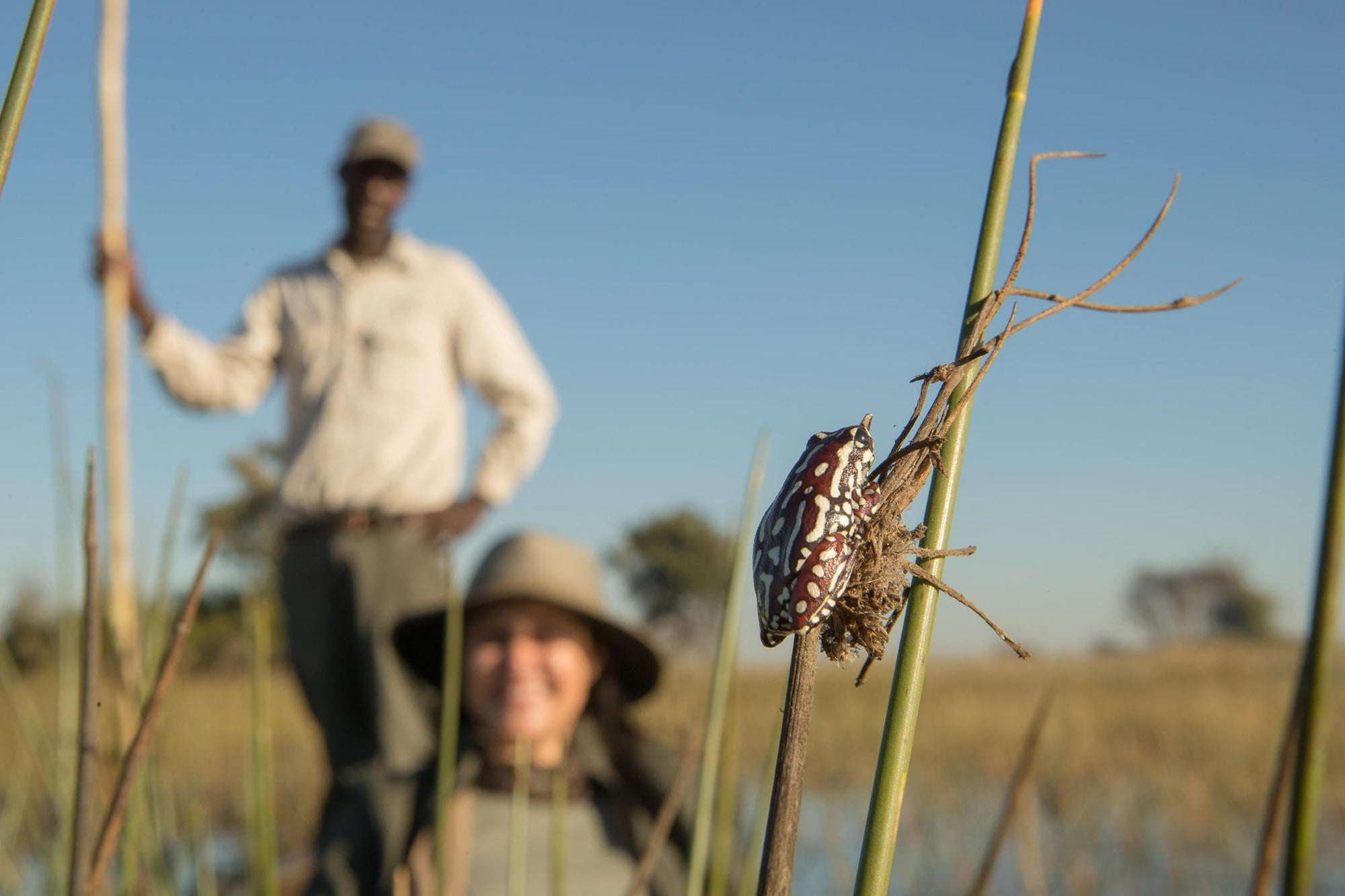 Mokoro Trips gallery image 2