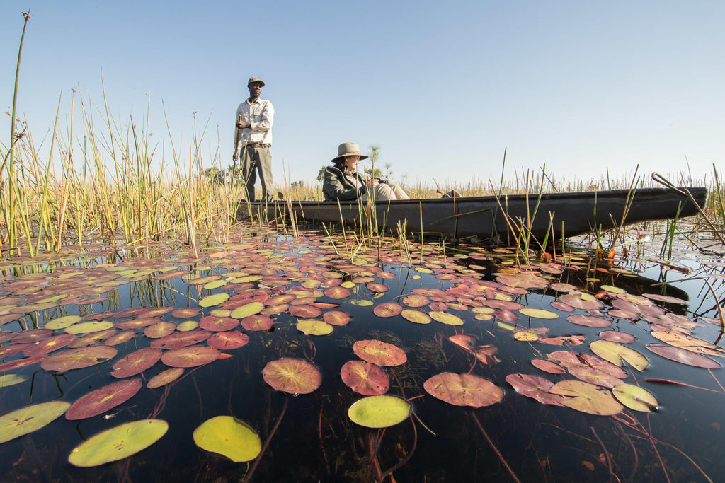 Mokoro Trips gallery image 8