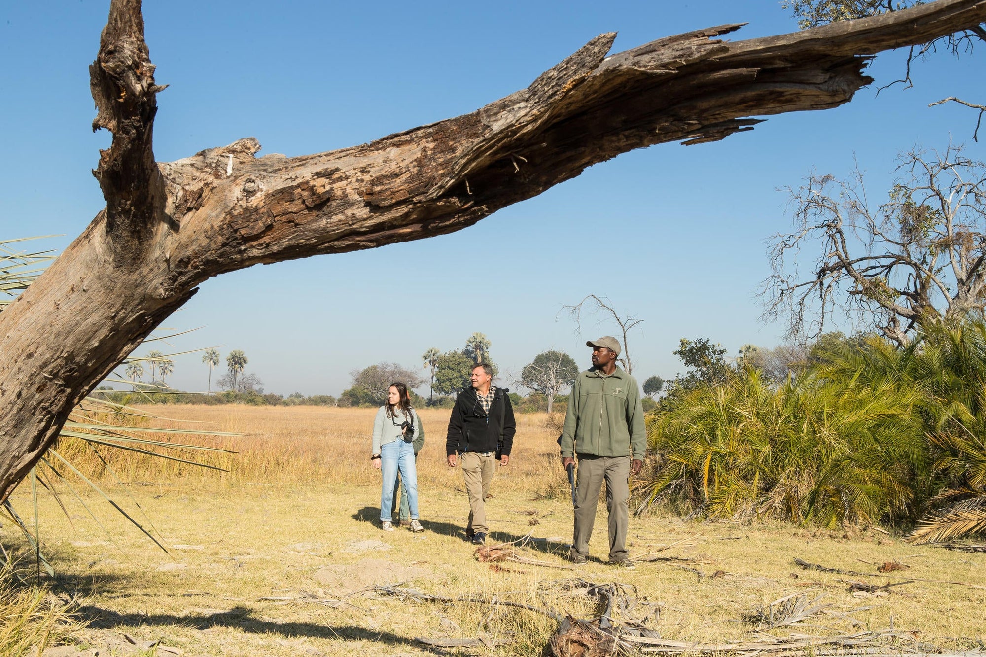 Guided Bush walks gallery image 9