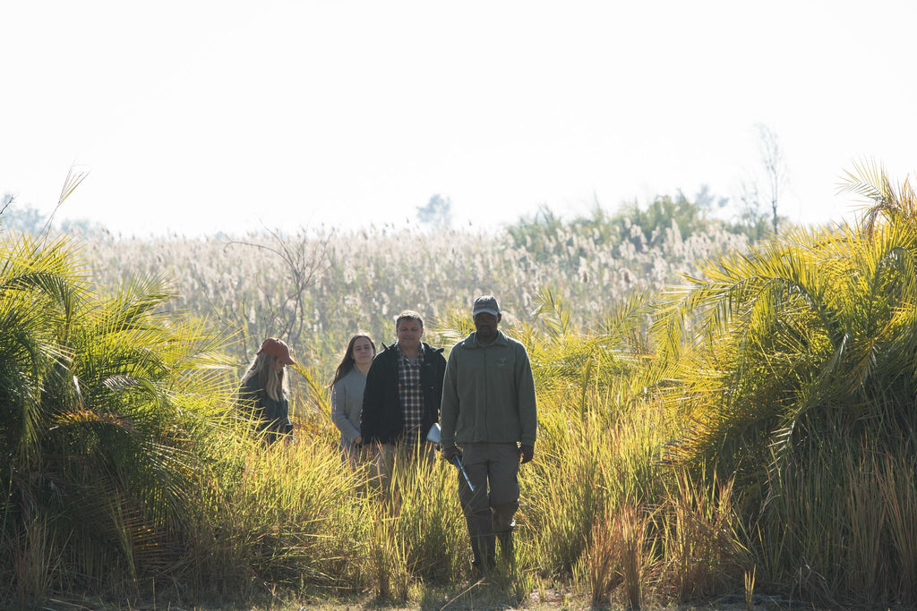 Guided Bush walks gallery image 7