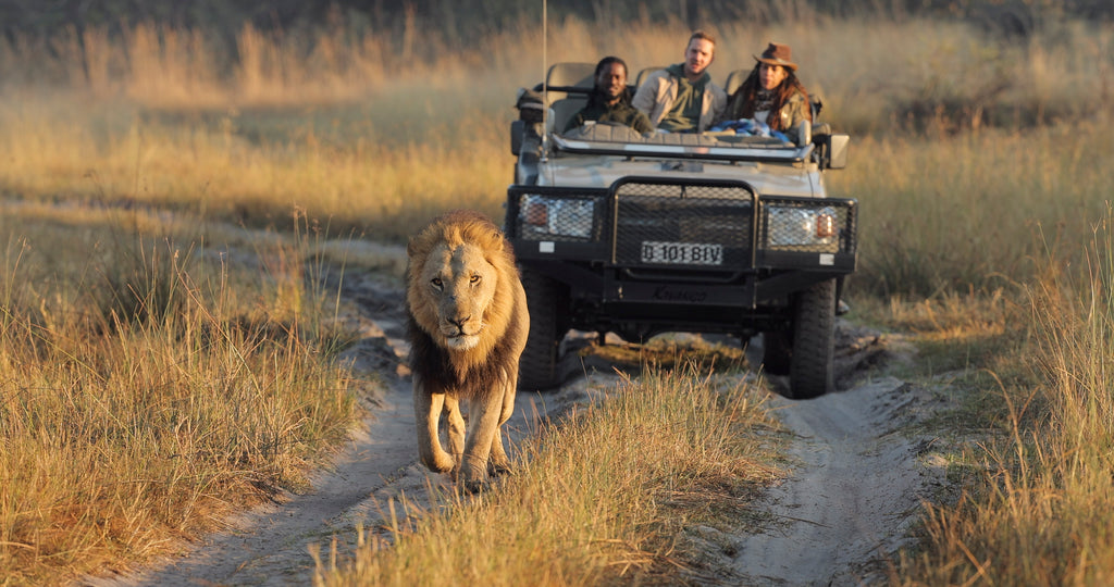 Game Drive