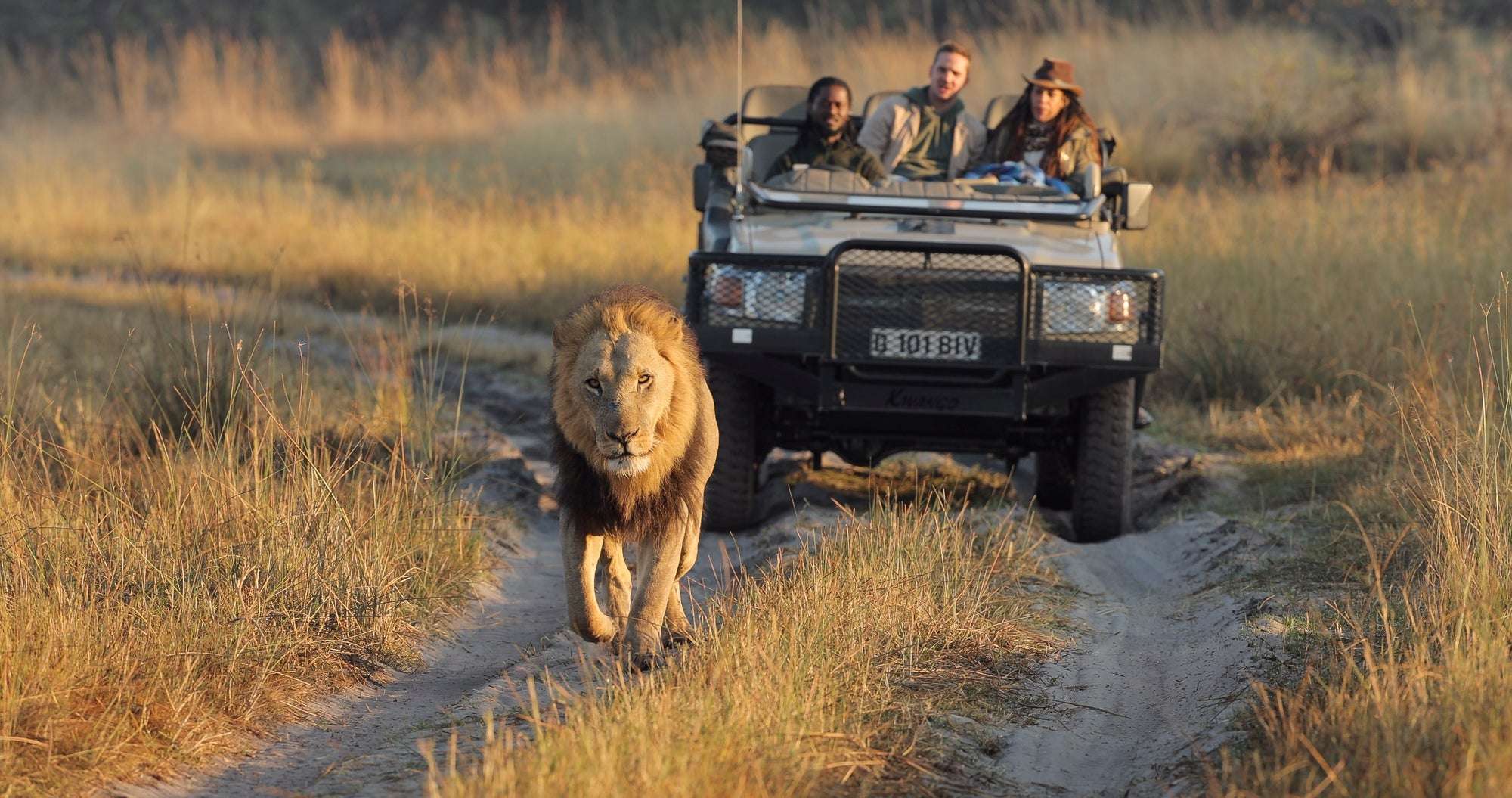 Game Drive
