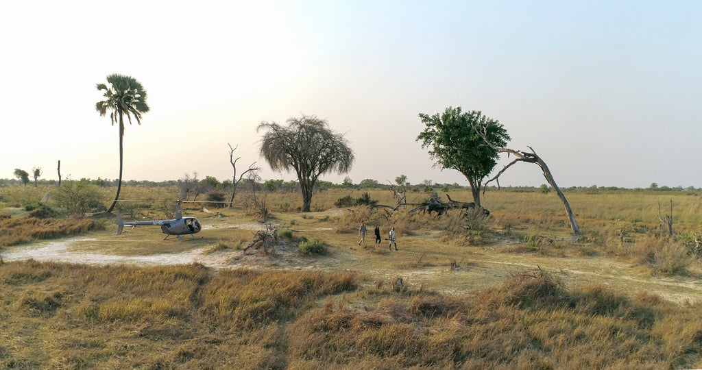 Walking Safari