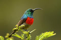 Birding gallery image 1