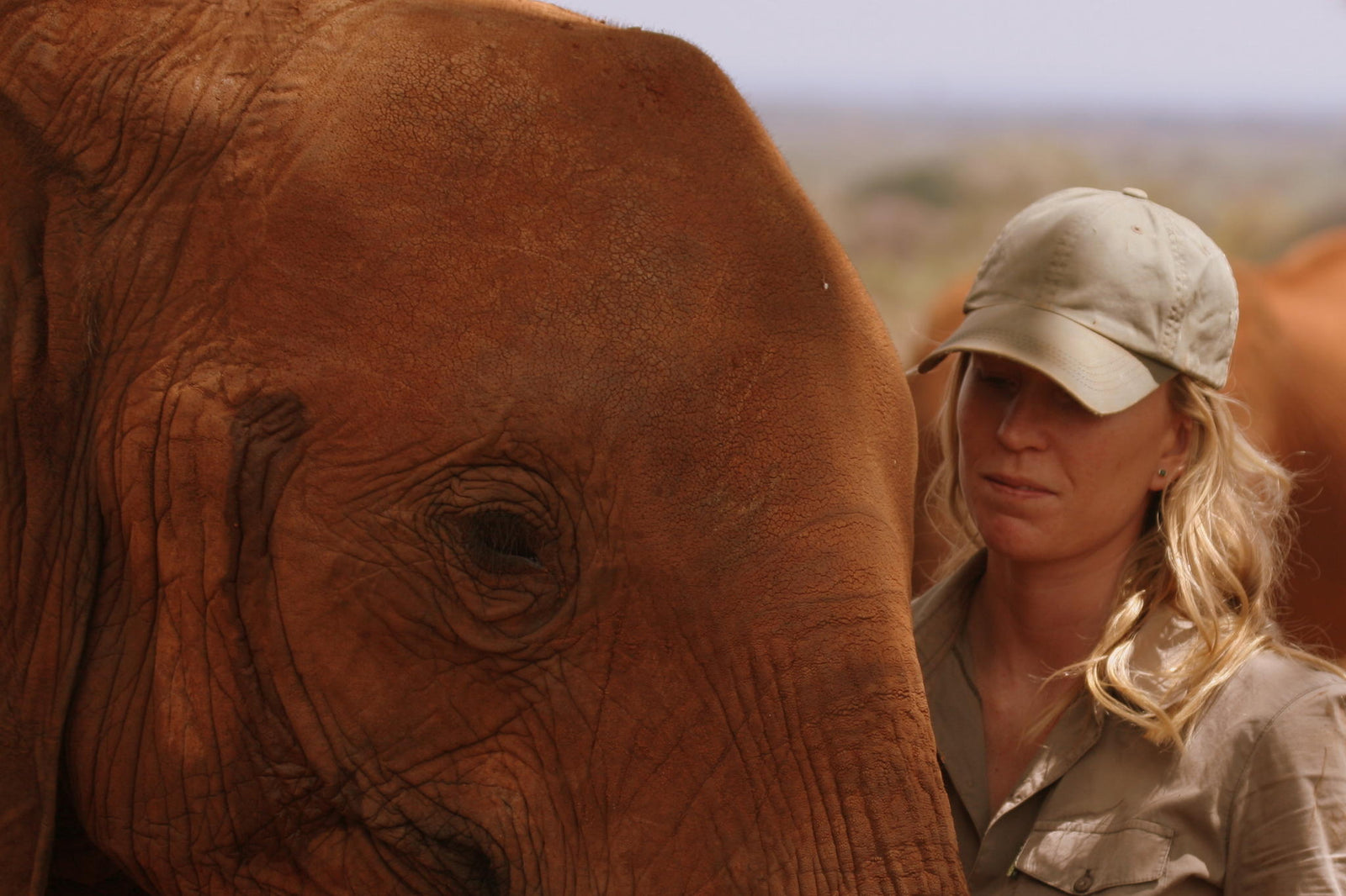 Visits to The David Sheldrick Trust