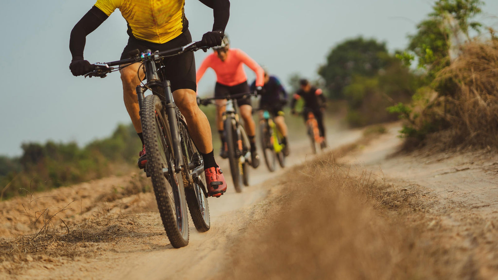 Cycling, Walks and Hikes