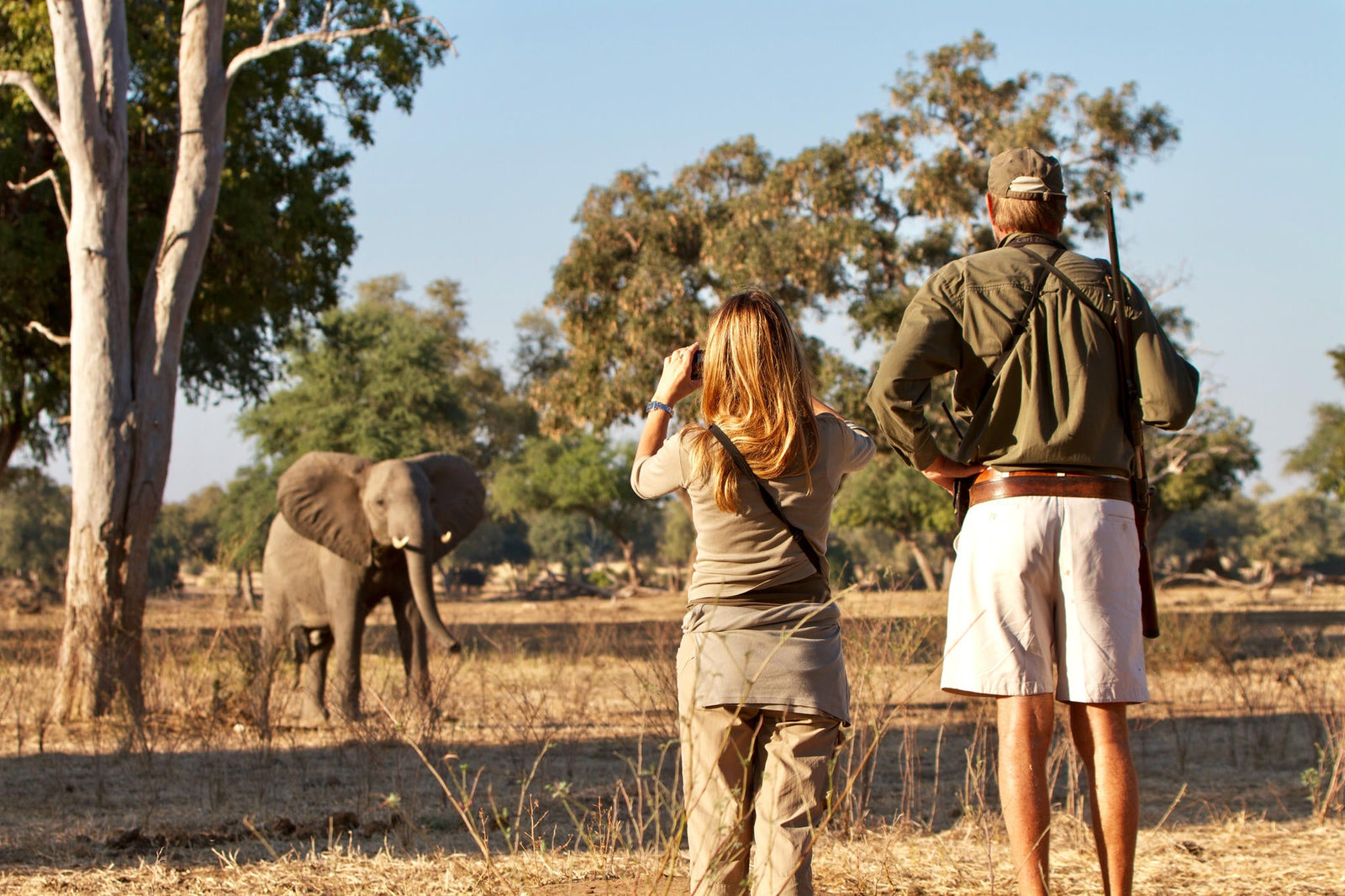 Guided Bush Walk