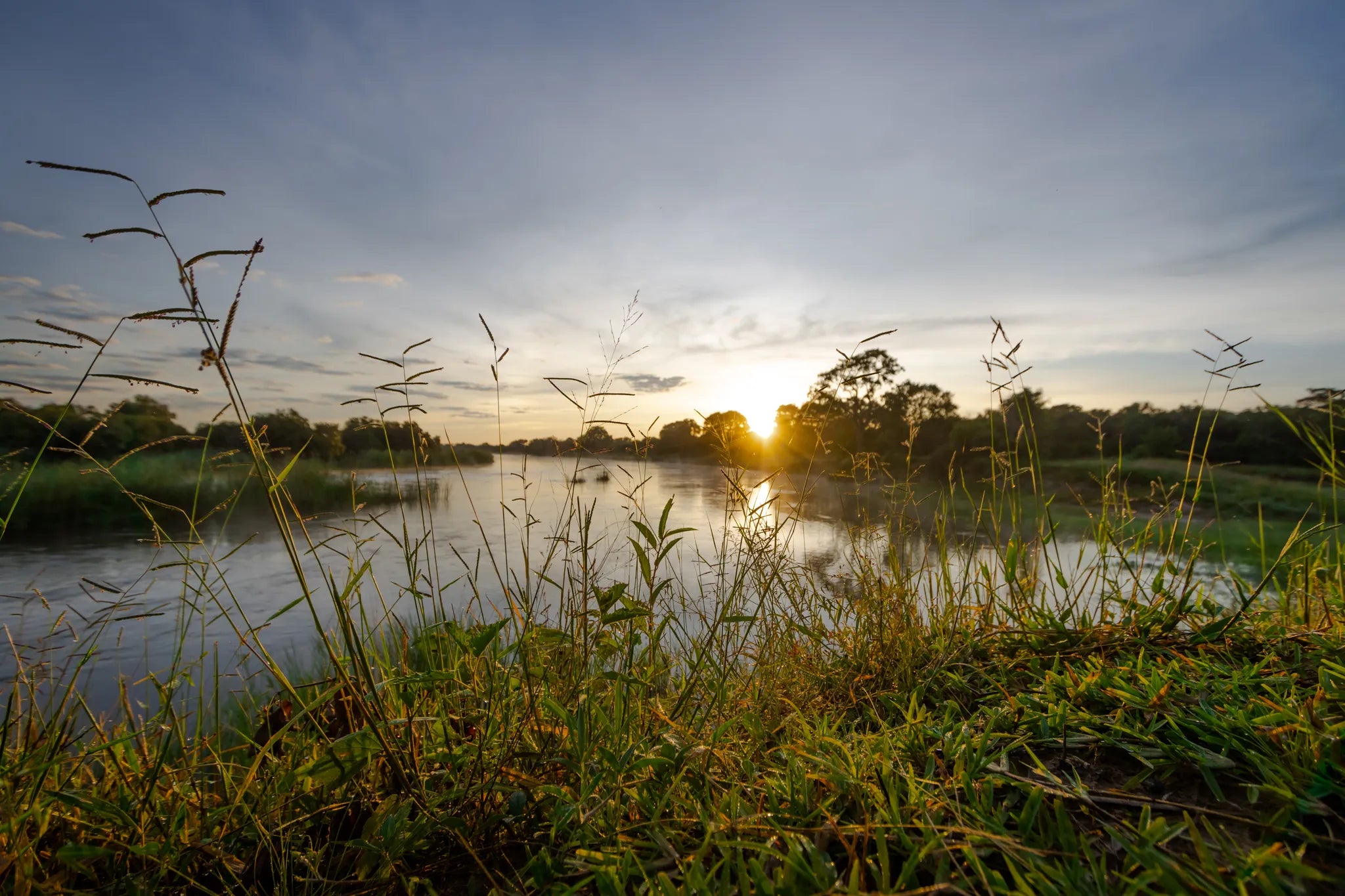 The Mighty Zambezi at Sian Simba River Lodge, Victoria Falls (Zimbabwe), Zimbabwe.