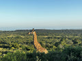 Sibuya Bush Lodge