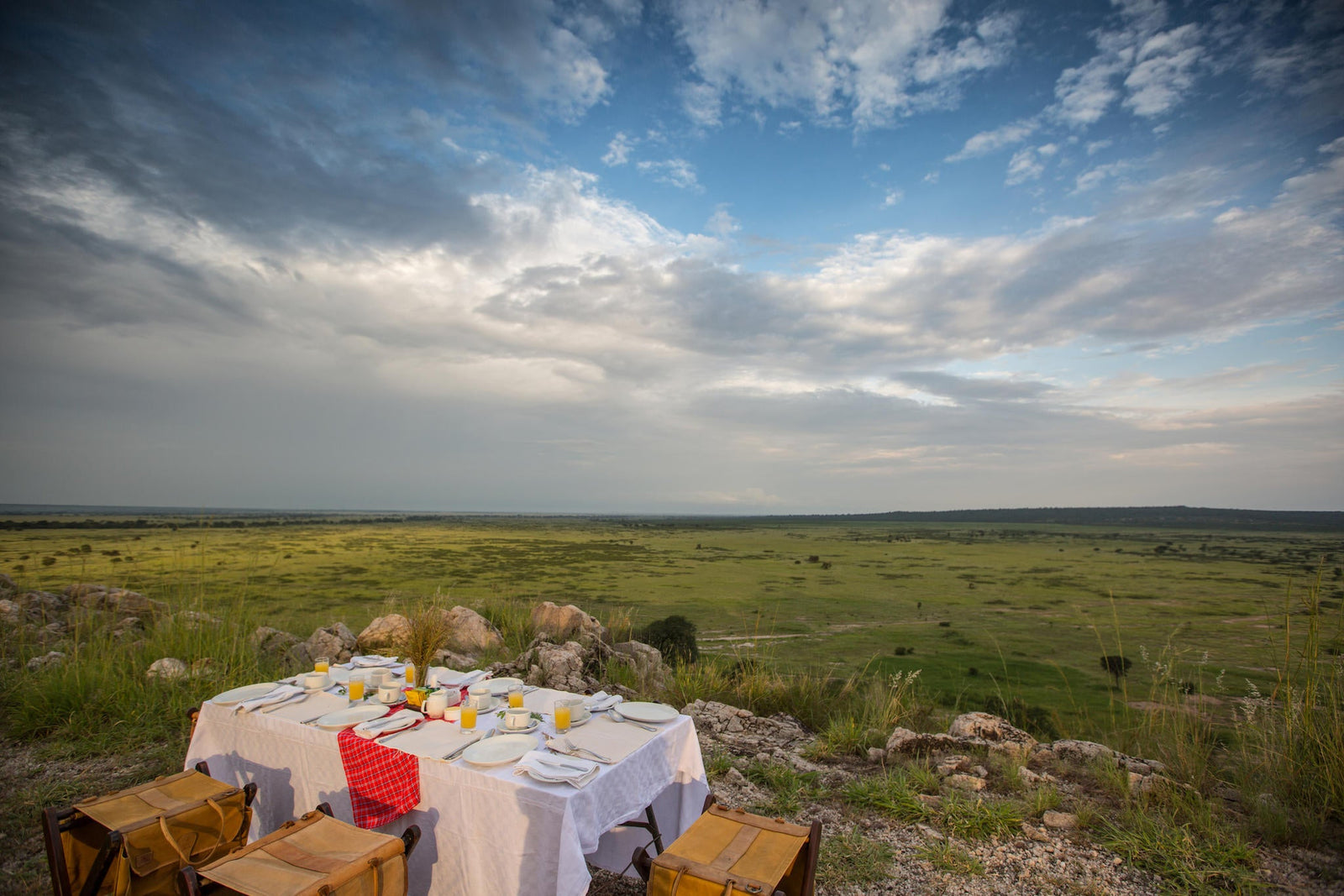 Bush breakfast / lunch