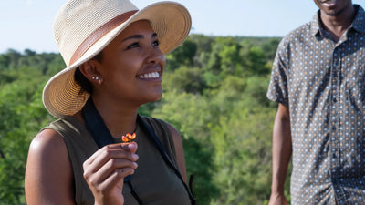 Guided Safari Walks
