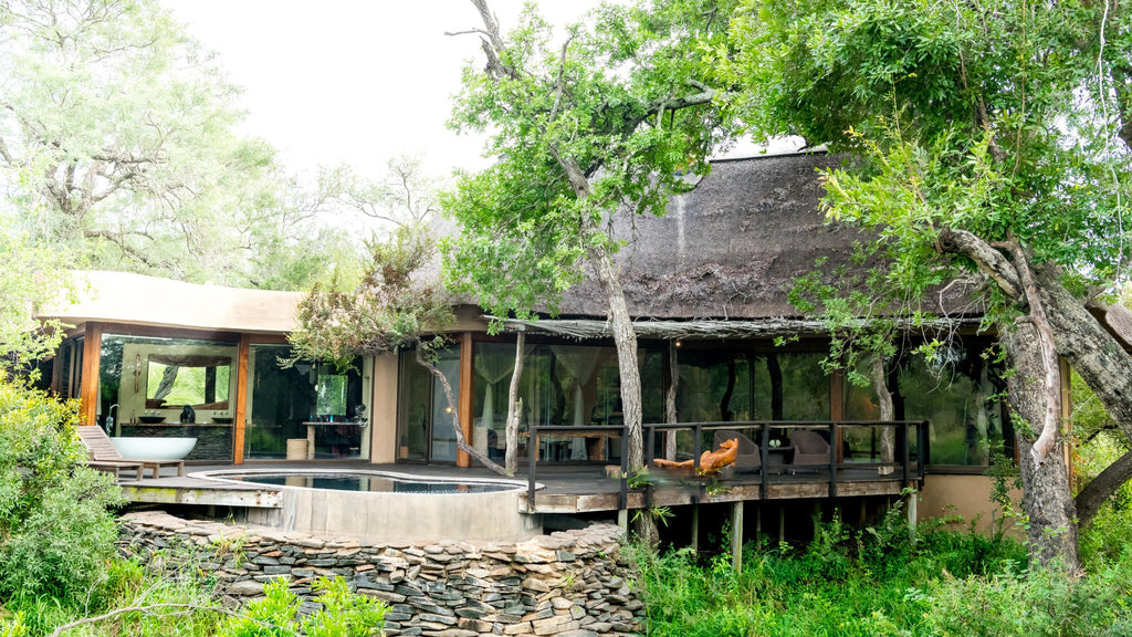 Bush Suite gallery image 3