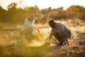 Guided Safari Walks gallery image 1