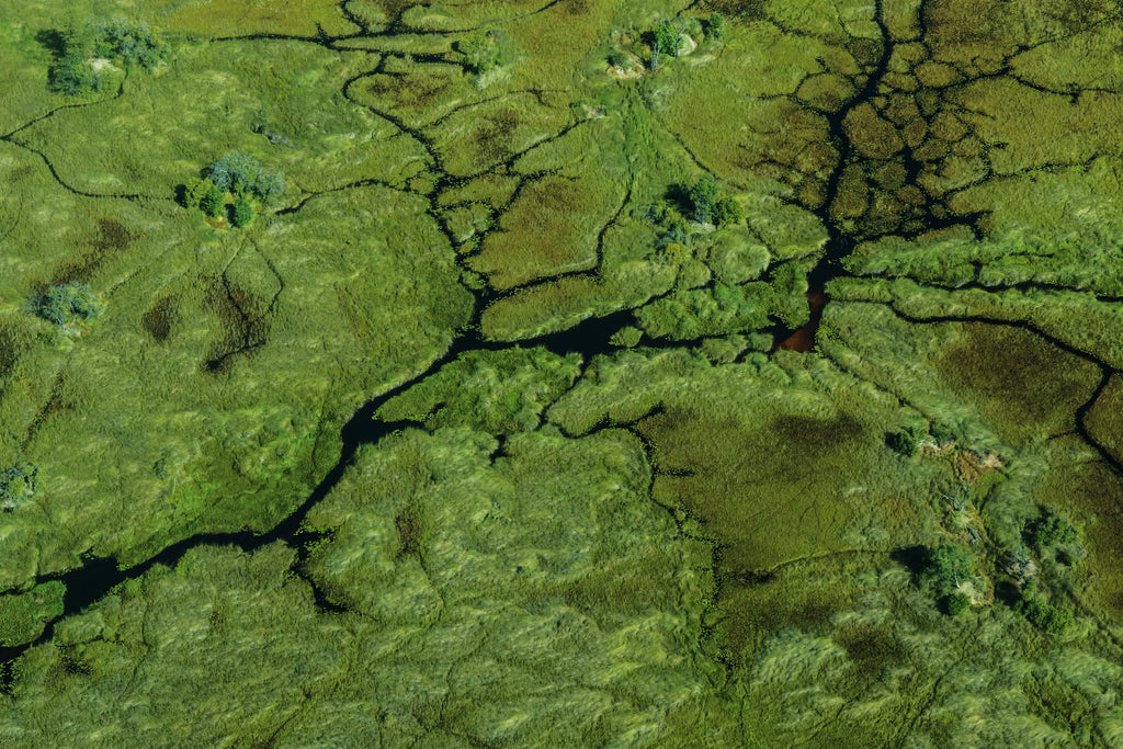 Areal view of Okavango Delta at Sitatunga Private Island, Ng12 Concession, Botswana.
