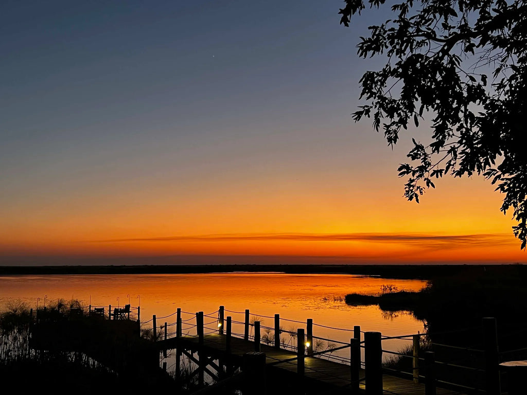 Sitatunga Private Island at Sitatunga Private Island, Ng12 Concession, Botswana.