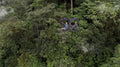 Mashpi Lodge Sky Bike  gallery image 1
