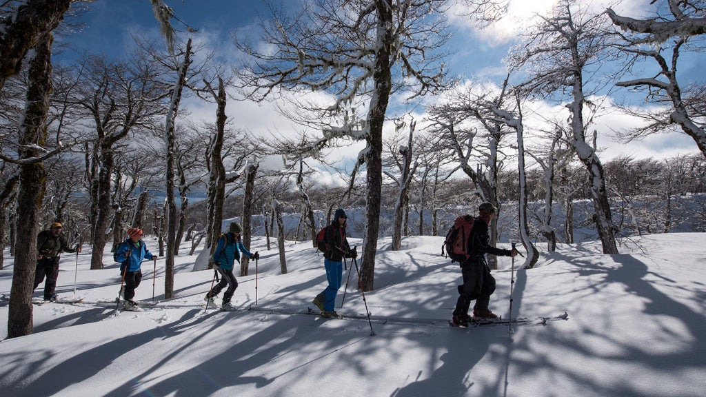 Snowshoeing gallery image 2