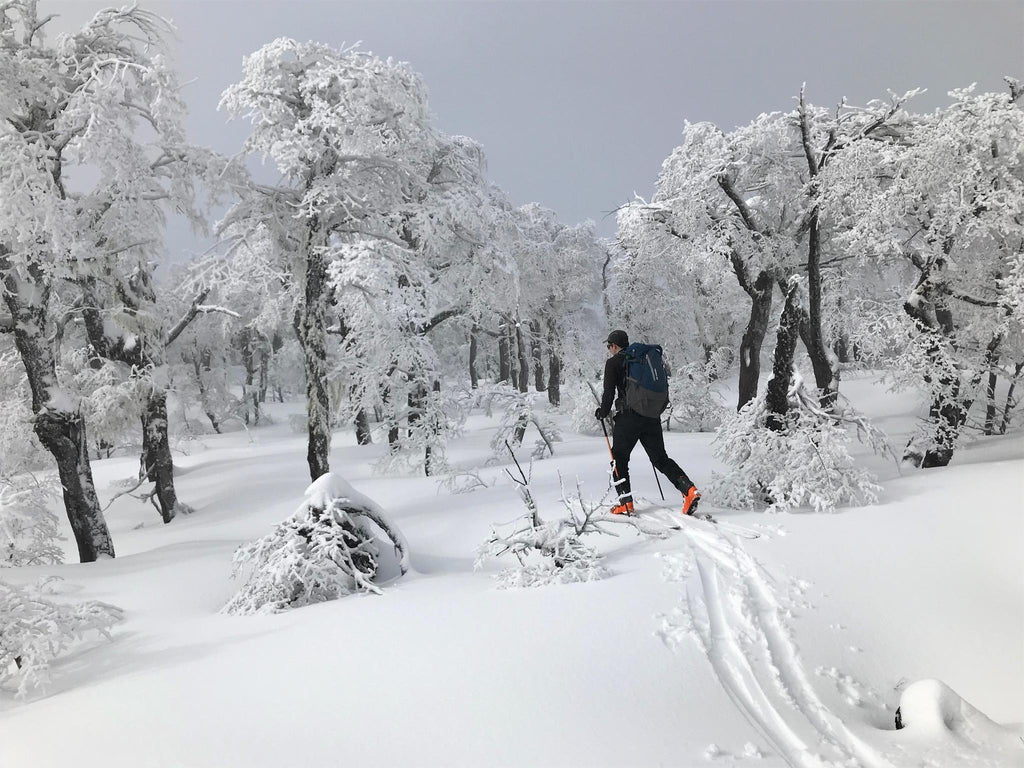 Snowshoeing gallery image 3