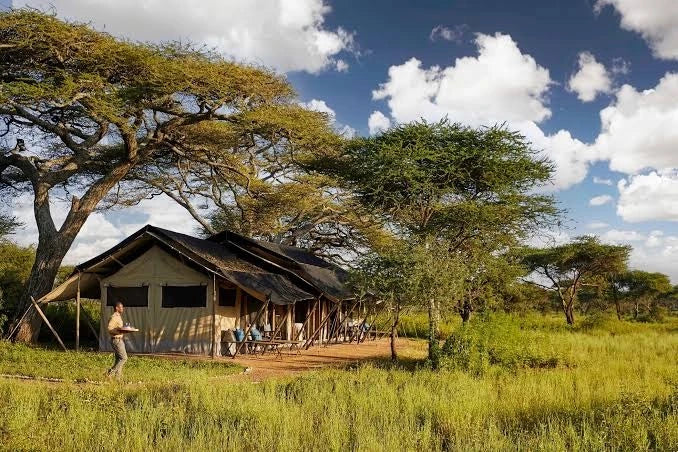 Mwiba Plains, Auberge Safari