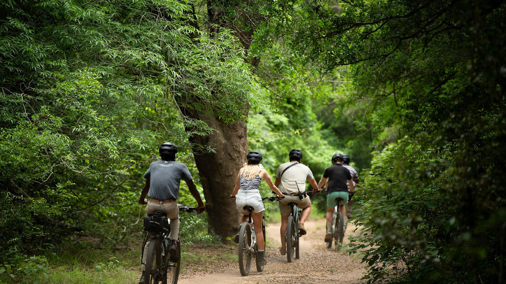 E-bike adventure at Phinda Forest (additional cost) gallery image 3
