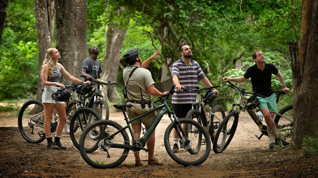 E-bike adventure at Phinda Forest (additional cost) gallery image 2