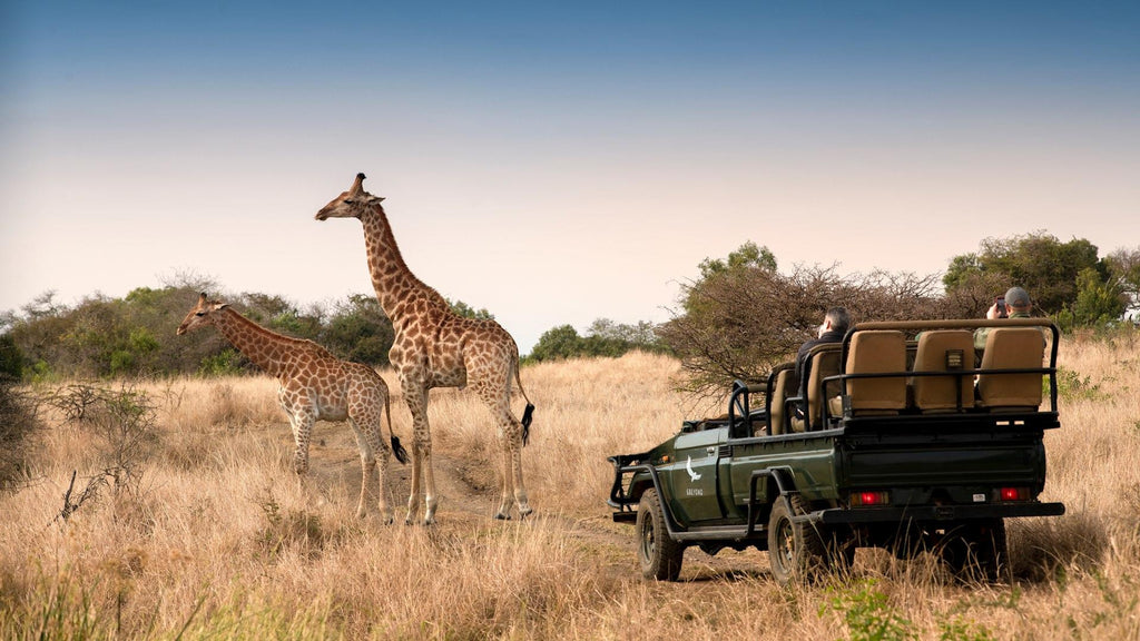 Game Drives (included)