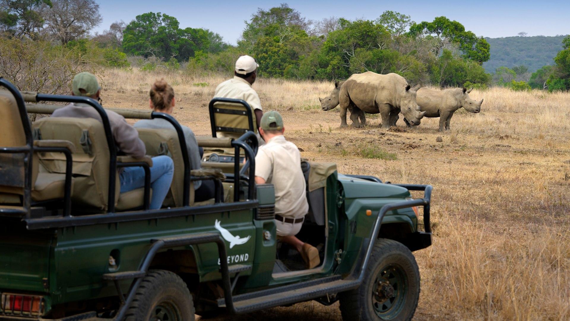 Game Drives (included)
