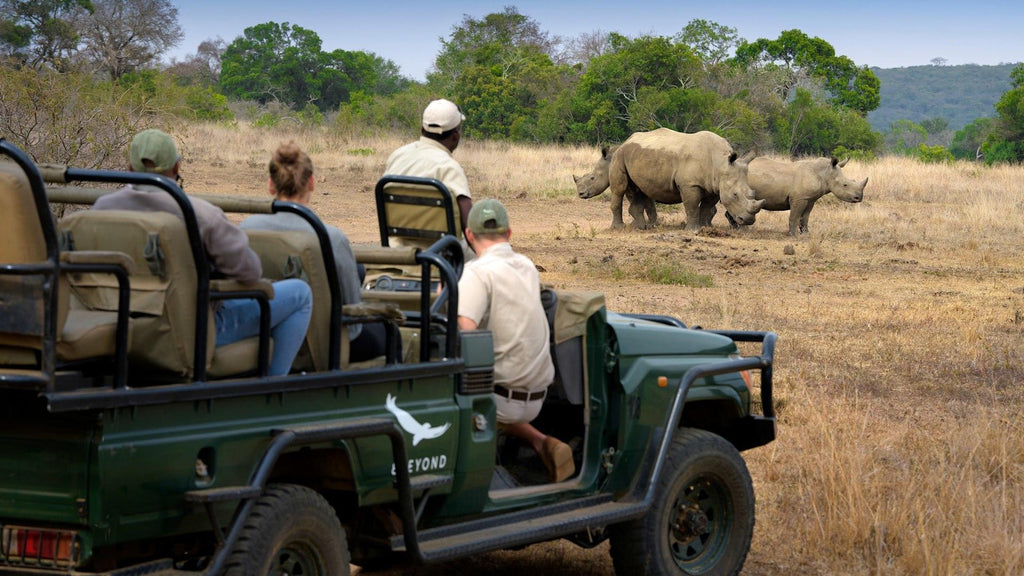 Game Drives (included)
