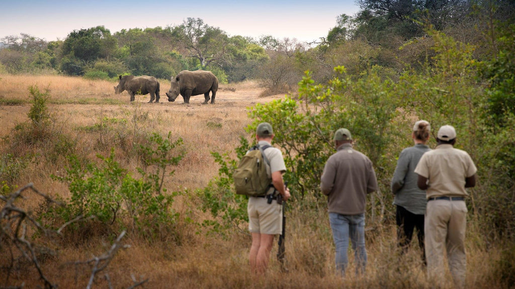 Specialist Walking Safari (additional cost)
