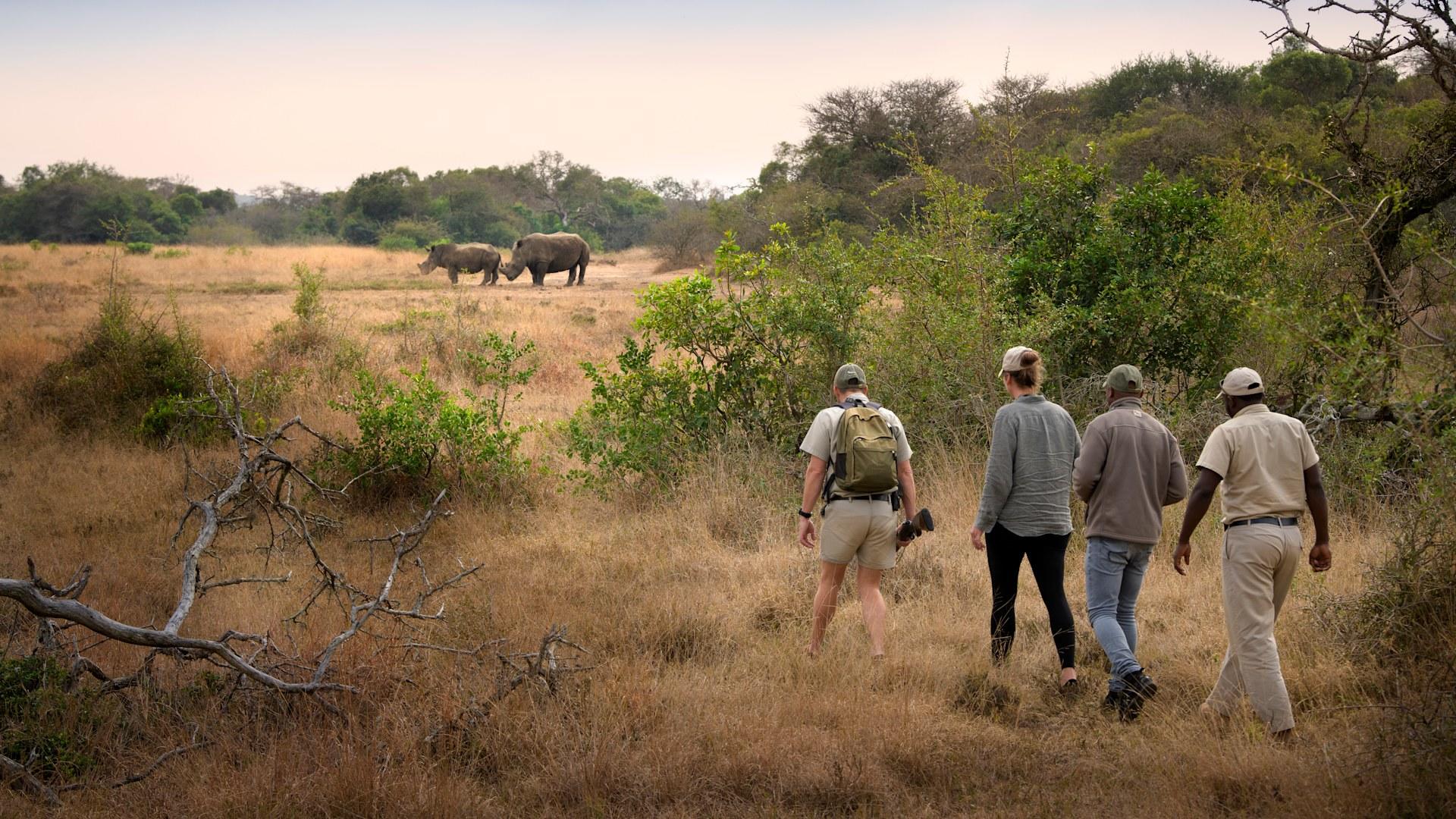 Interpretive Nature Walks and Big Game Viewing Walk  (Included; subject to the availability of a qualified guide)