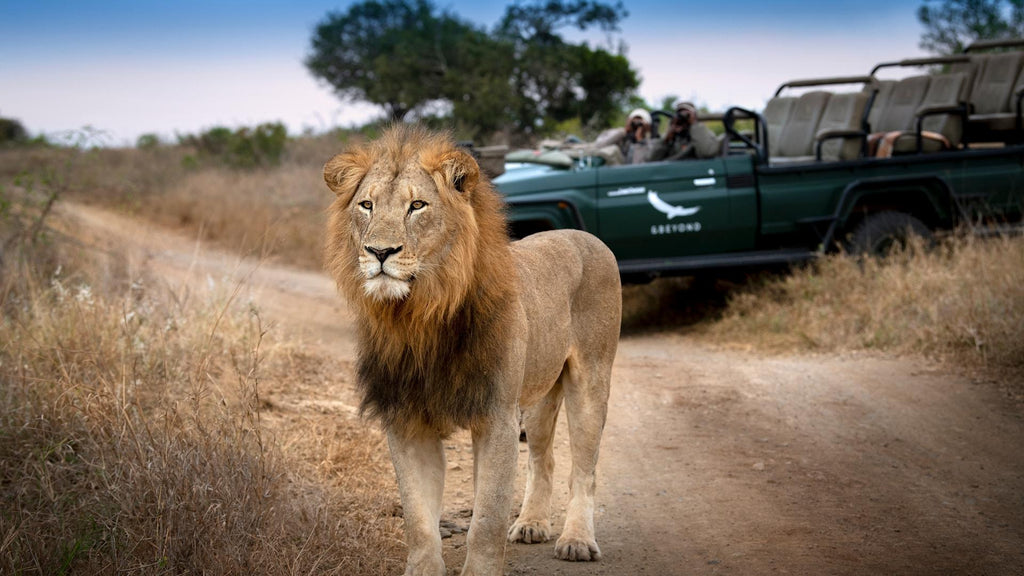 Game Drives (included)