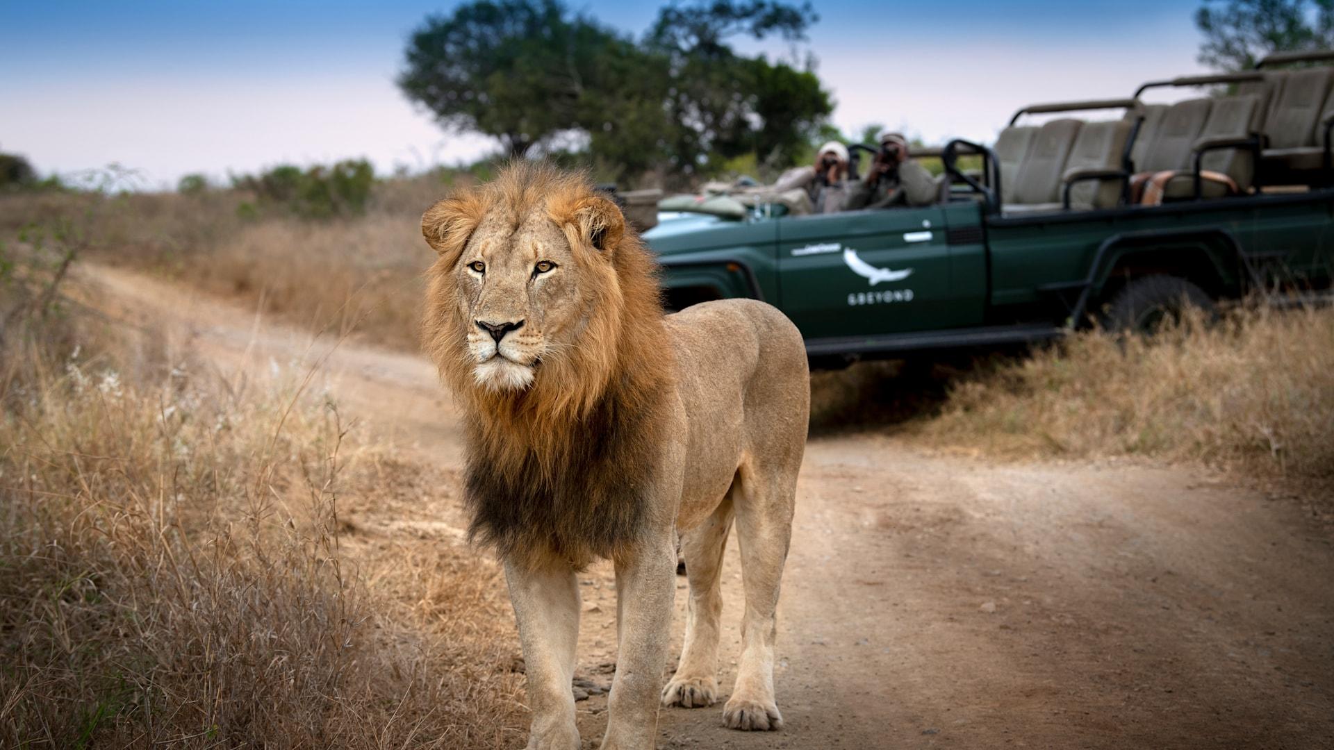 Game Drives (included)