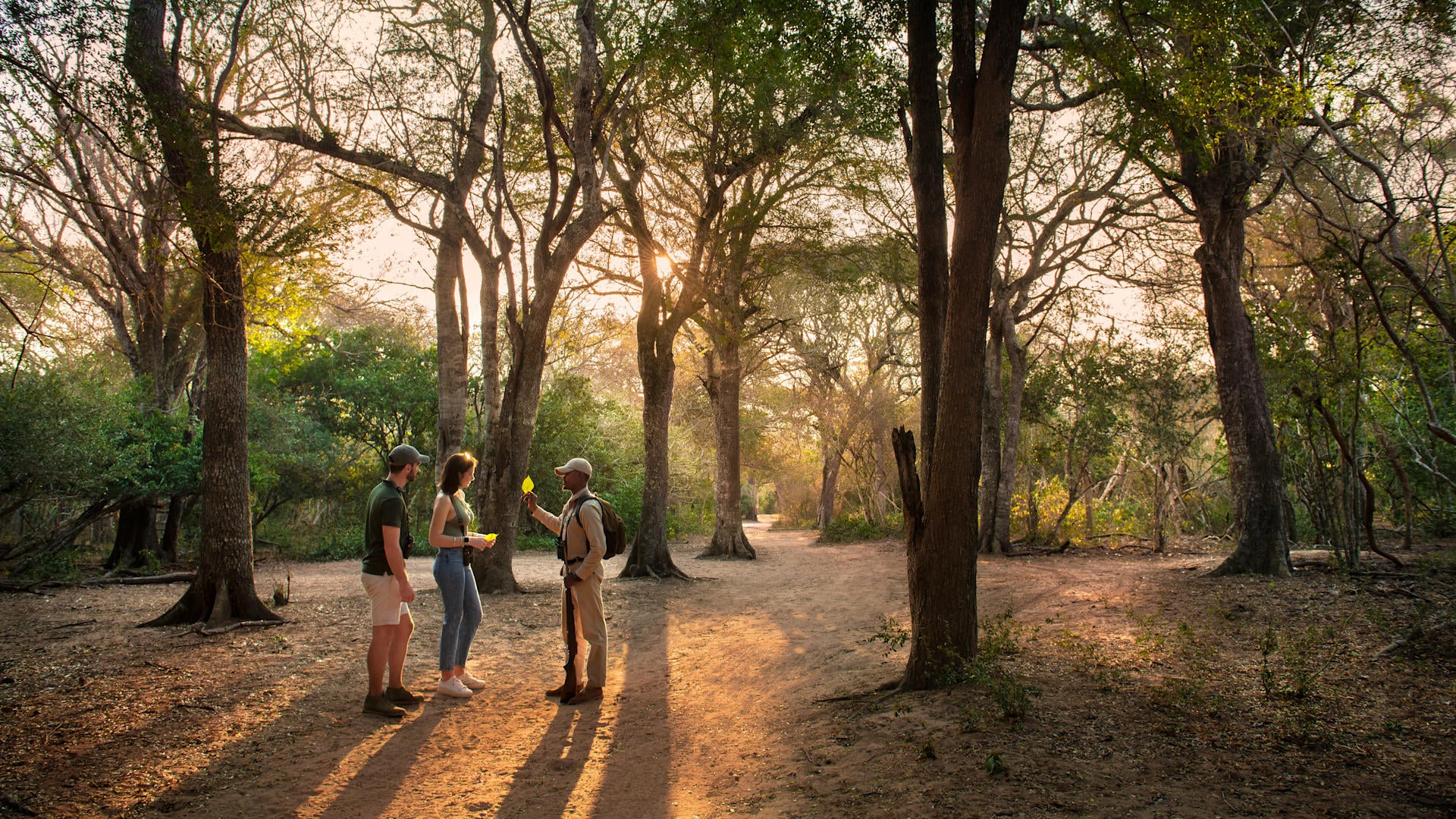Interpretive Nature Walks and Big Game Viewing Walk  (Included; subject to the availability of a qualified guide)