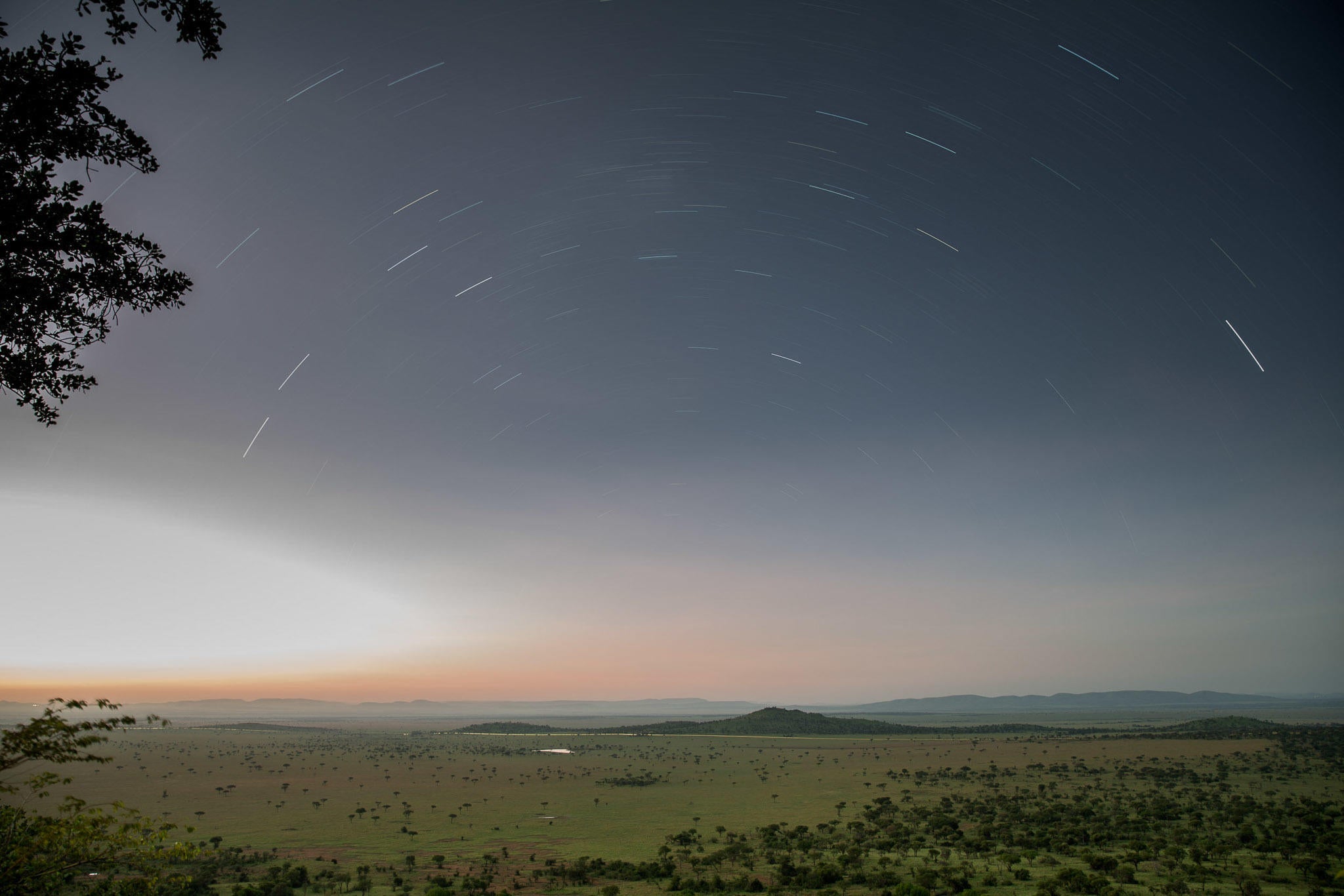 Star-gazing