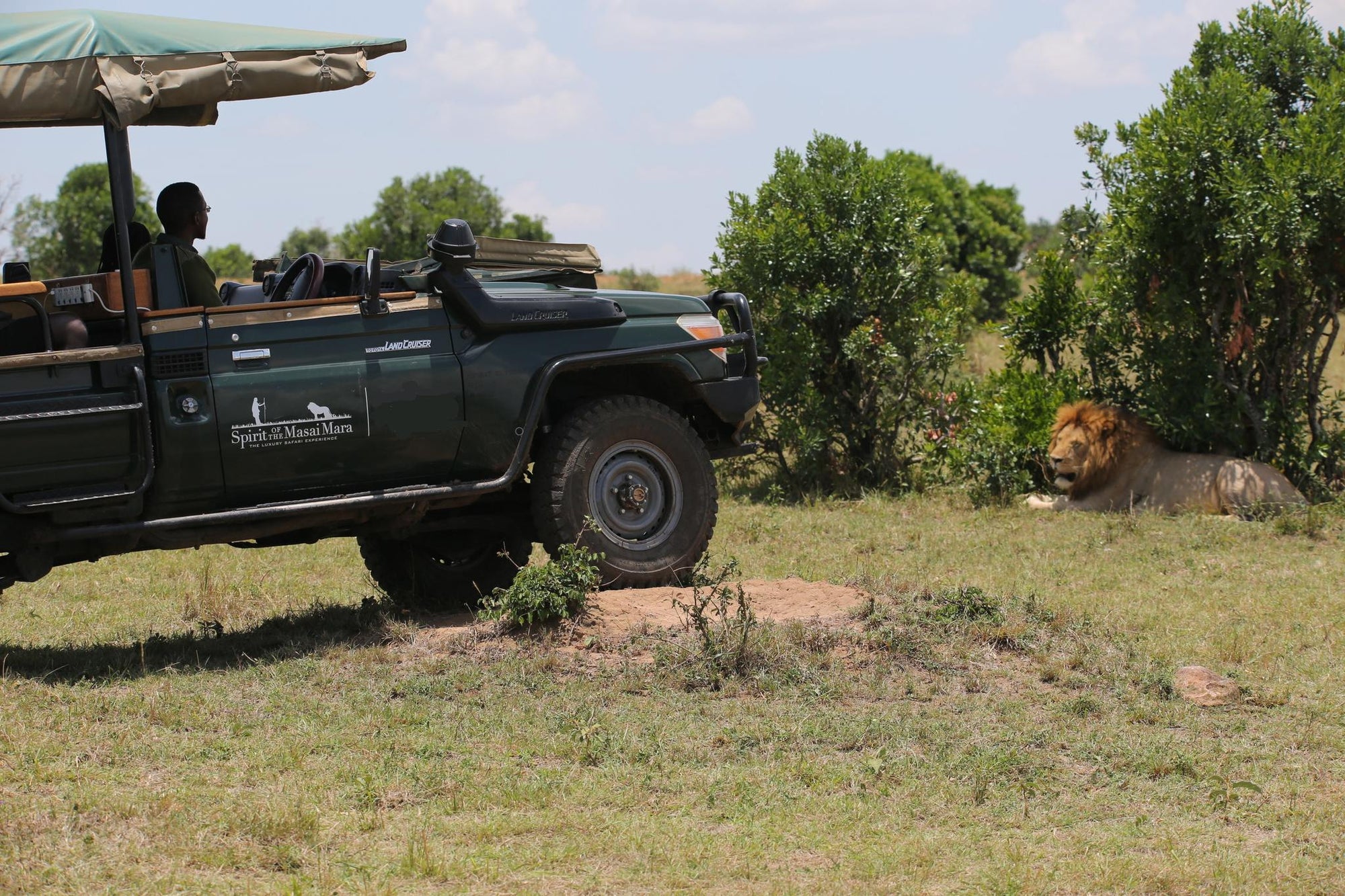 Game Drives Day / Night gallery image 2