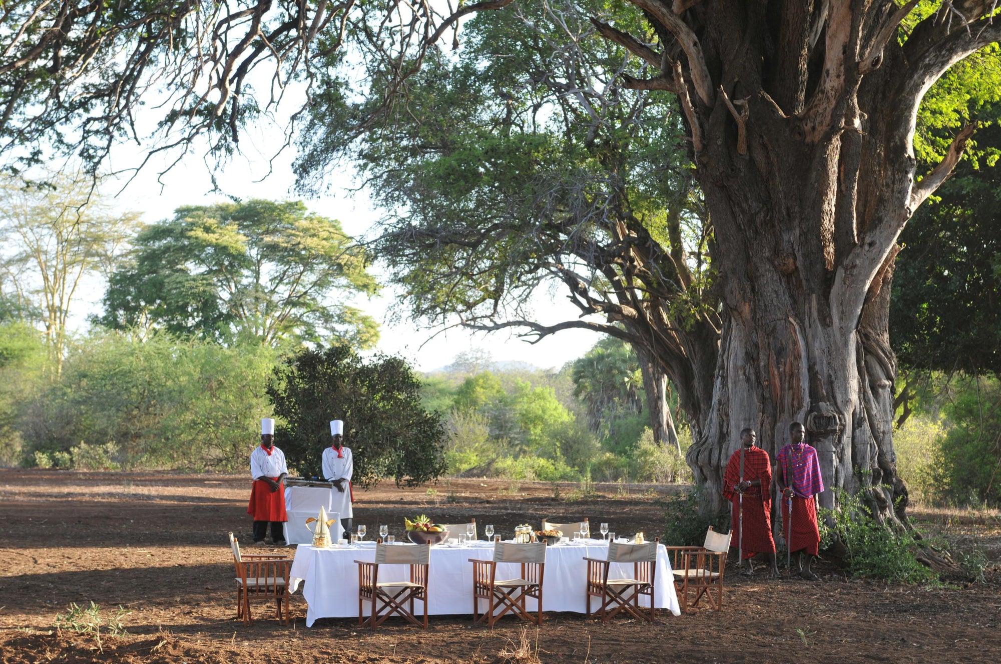 Bush breakfast and bush lunch gallery image 3