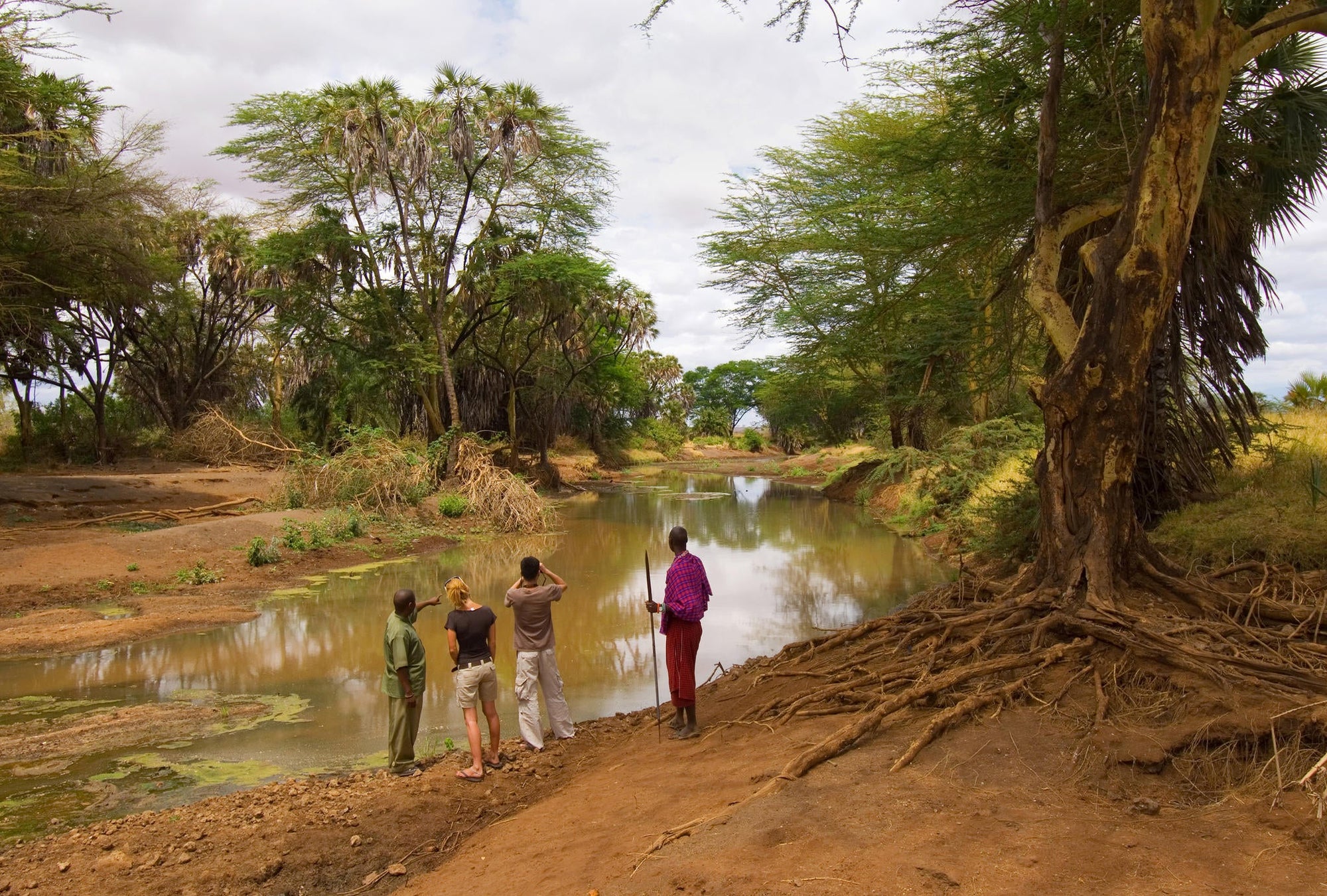 Exclusive bush walk with an experienced, armed KWS ranger gallery image 3